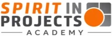 Spirit in Projects
